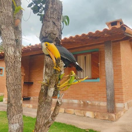 Villa Nova Chales Лима-Дуарти Экстерьер фото
