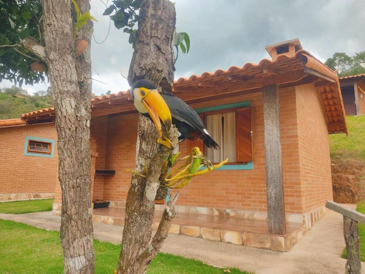 Villa Nova Chales Лима-Дуарти Экстерьер фото